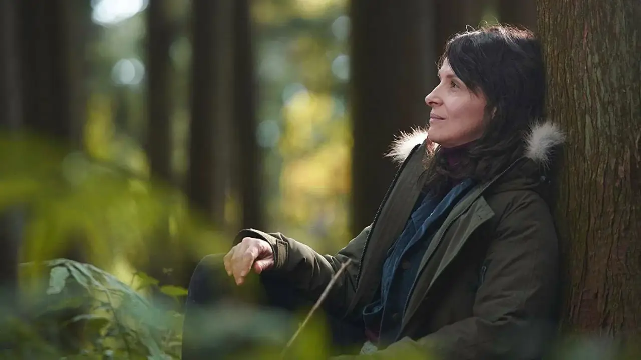 Die Blüte des Einklangs hdfilme