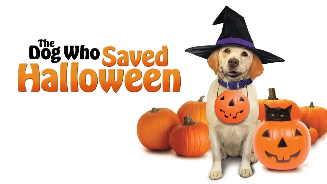 Ein Hund rettet Halloween hdfilme