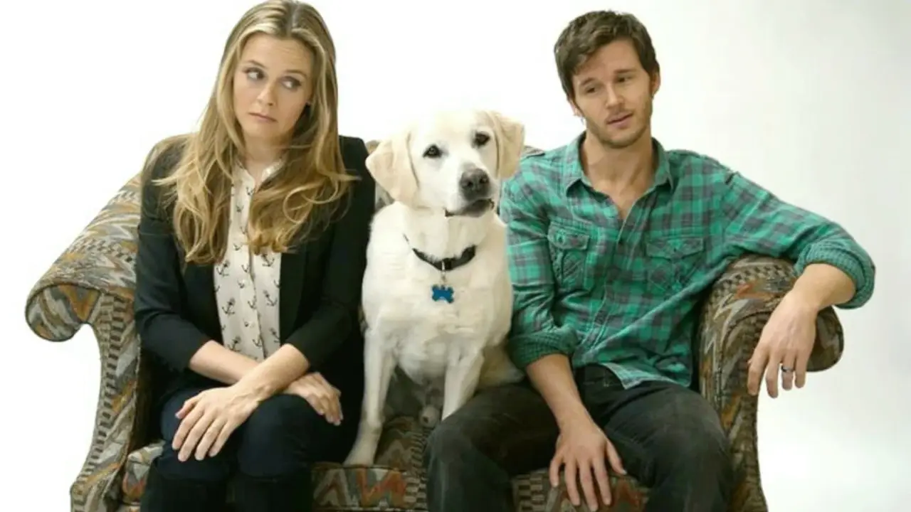 Wer kriegt den Hund? hdfilme