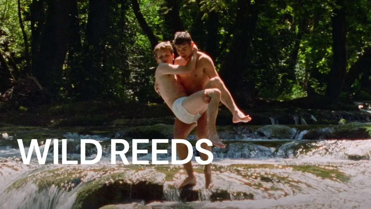 Wilde Herzen hdfilme