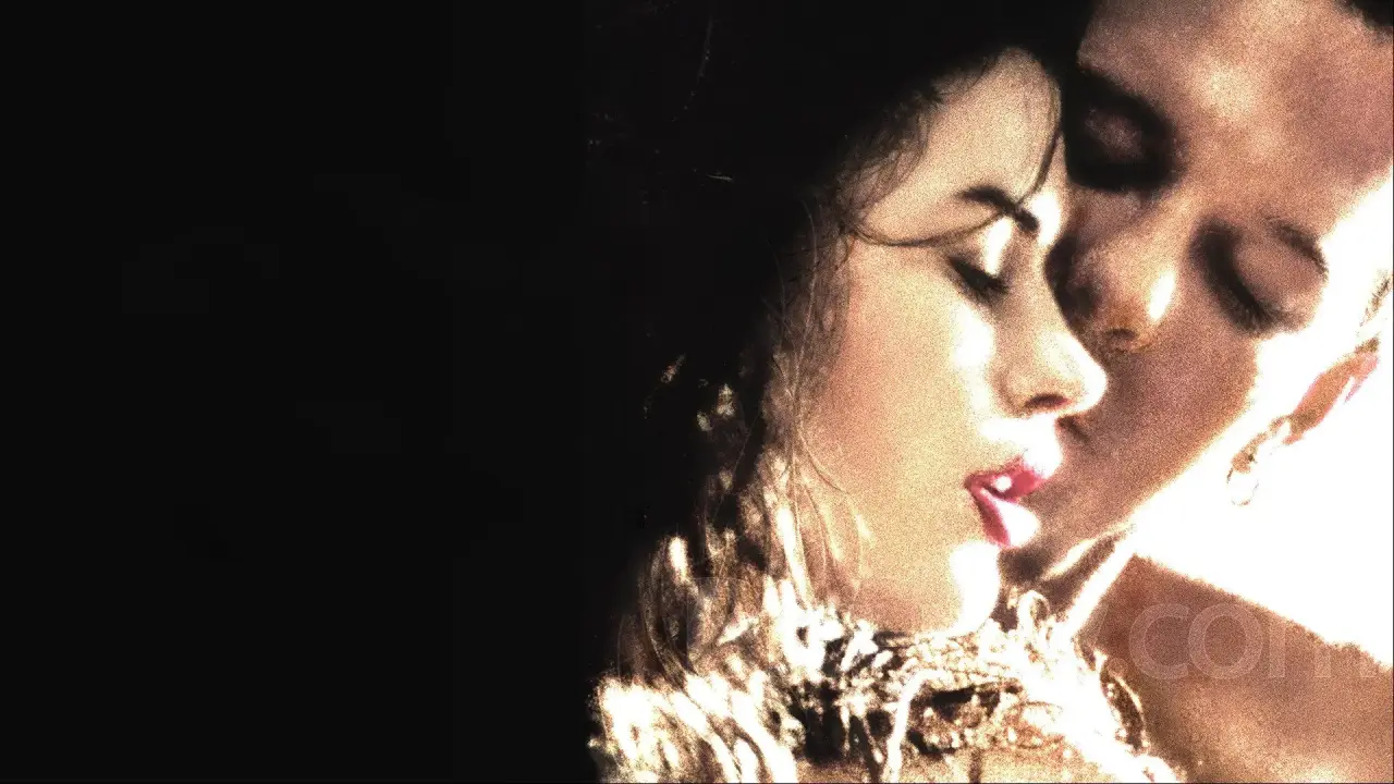 Wilde Orchidee hdfilme