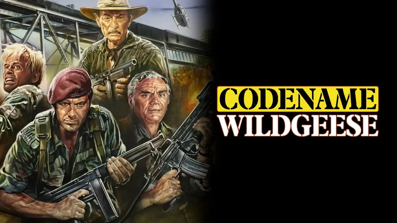 Geheimcode Wildgänse hdfilme