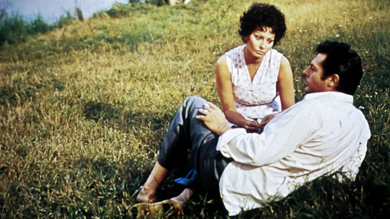 Sonnenblumen hdfilme