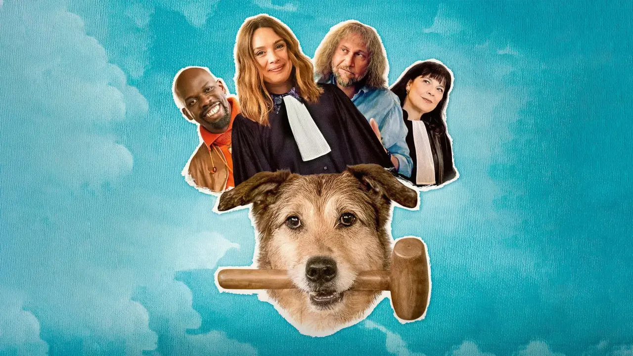 Hundschuldig hdfilme