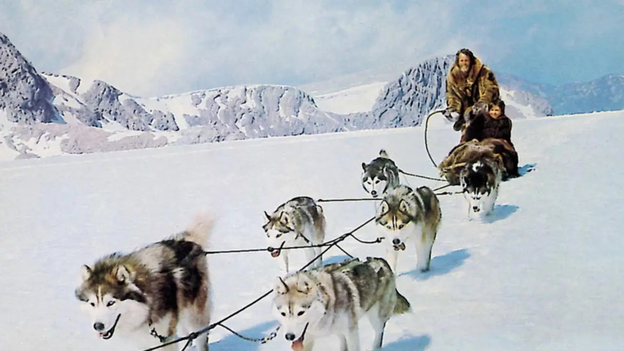 Die blutigen Geier von Alaska hdfilme