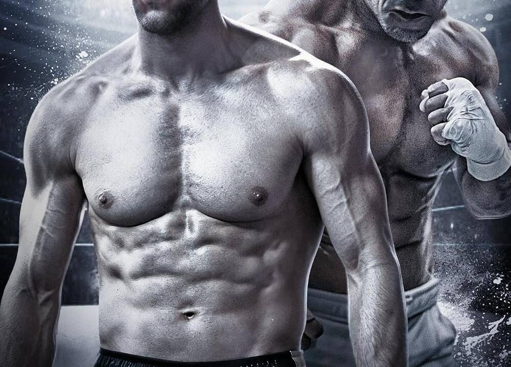 Lion Fist - Kampf der Champions hdfilme