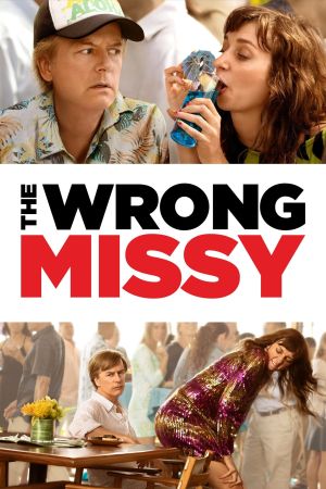 The Wrong Missy hdfilme stream online