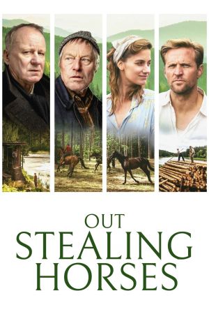 Pferde stehlen poster