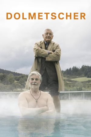 Der Dolmetscher hdfilme stream online