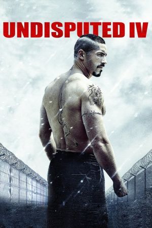 Undisputed IV - Boyka is back poster