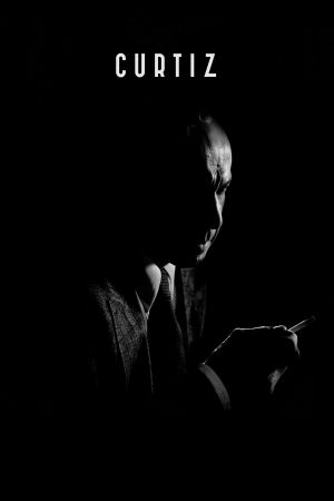 Curtiz hdfilme stream online