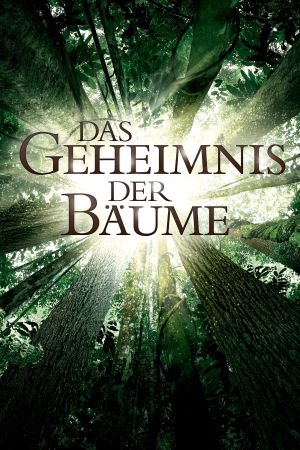 Das Geheimnis der Bäume poster