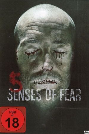 5 Senses of Fear poster
