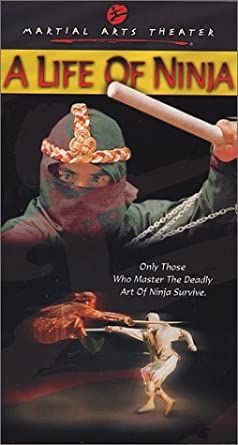 Die Rache des Ninjas hdfilme stream online