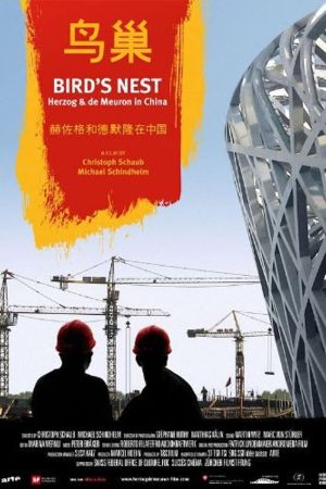 Bird's Nest - Herzog & de Meuron in China poster