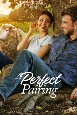 A Perfect Pairing hdfilme stream online
