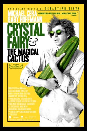 Crystal Fairy - Hangover in Chile poster