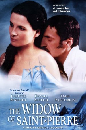Die Witwe von Saint Pierre poster