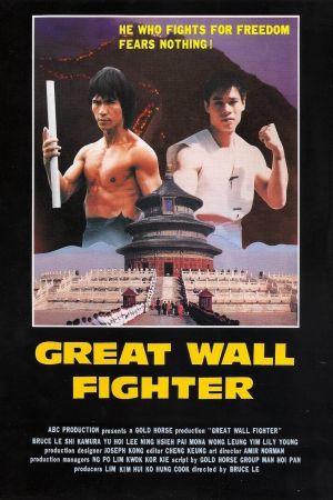 Ninja Over the Great Wall hdfilme stream online