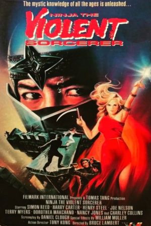 Ninja the Violent Sorcerer poster