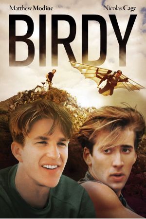 Birdy hdfilme stream online
