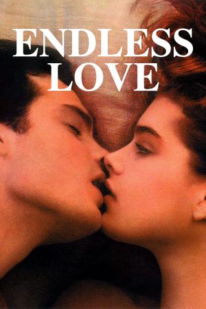 Endlose Liebe hdfilme stream online