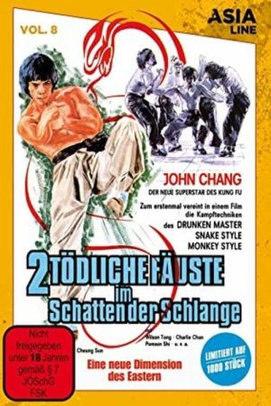 2 tödliche Fäuste im Schatten der Schlange poster