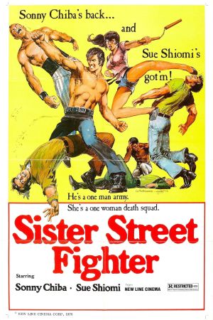 Die Karate-Tiger poster