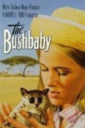 Das Buschbaby hdfilme stream online