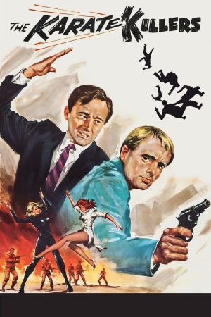 Die Karate Killer hdfilme stream online