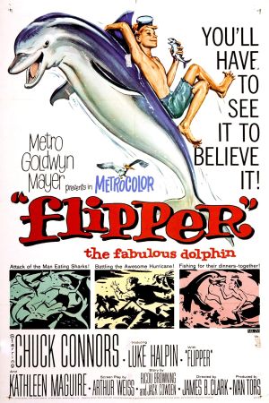 Flipper hdfilme stream online