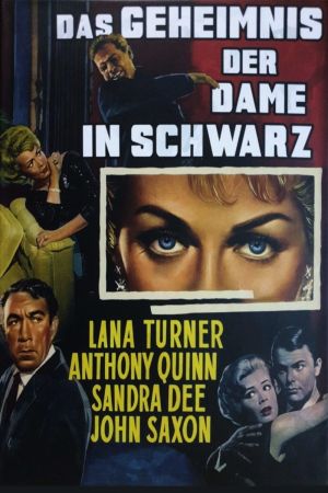 Das Geheimnis der Dame in Schwarz poster