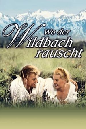 Wo der Wildbach rauscht poster