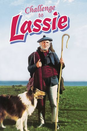 Lassie in Not poster
