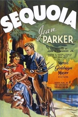 Sequoia - Herrin der Wildnis poster