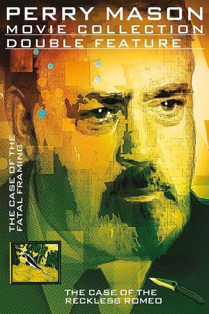 Perry Mason und die Kunst des Malens poster