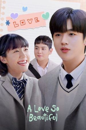 A Love So Beautiful poster