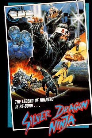 Ninja Challenge hdfilme stream online