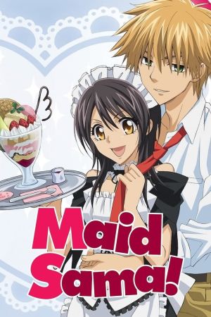 Maid-sama poster