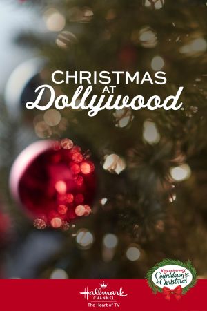 Liebe im Weihnachtspark poster