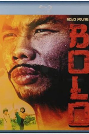Bolo - Vier Fäuste im Wilden Osten poster
