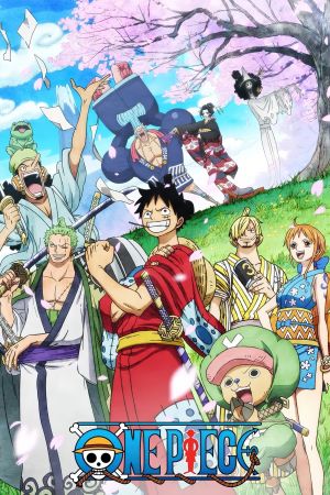 One Piece (Seasons 9-15) poster