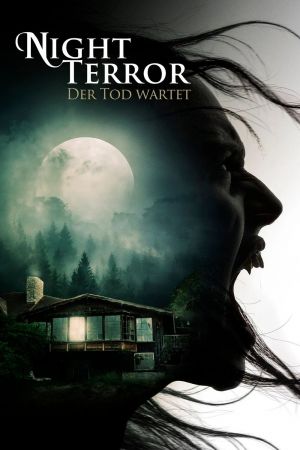 Night Terror - Der Tod wartet poster