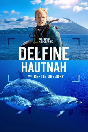 Delfine Hautnah mit Bertie Gregory poster