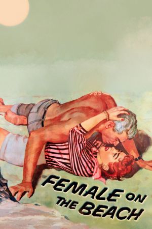 Das Haus am Strand poster